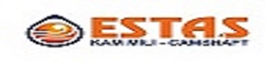 ESTAŞ EKSANTRİK SAN. VE TİC. A.Ş. ESTAŞ EKSANTRİK SAN. VE TİC. A.Ş.